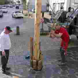 narrensprung baum 2020
