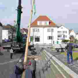 narrensprung baum 2020