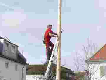 narrensprung baum 2020 bilder
