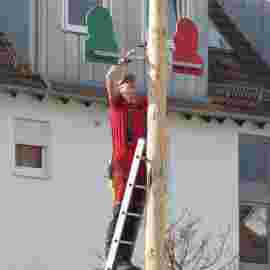narrensprung baum 2020