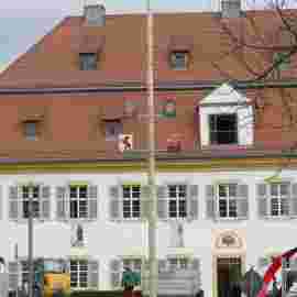 narrensprung baum 2020