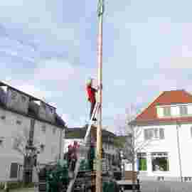 narrensprung baum 2020