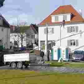narrensprung baum 2020