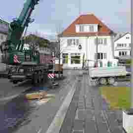 narrensprung baum 2020
