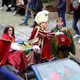 narrensprung umzug 2020