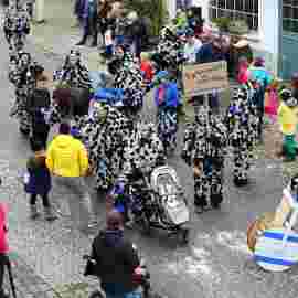 narrensprung umzug 2020