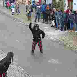 narrensprung umzug 2020