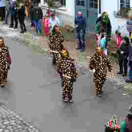 narrensprung umzug 2020