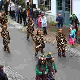 narrensprung umzug 2020
