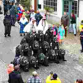 narrensprung umzug 2020