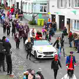 narrensprung umzug 2020