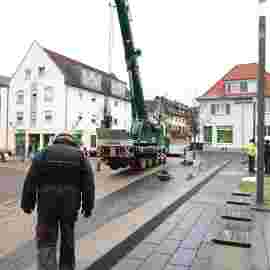 narrensprung 2023 baum