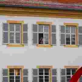 narrensprung 2023 baum
