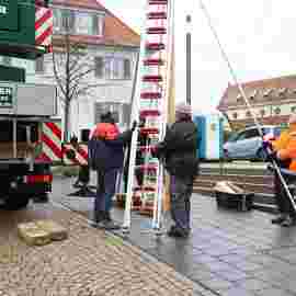 narrensprung 2023 baum