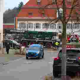 narrensprung 2023 baum