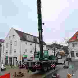 narrensprung 2023 baum