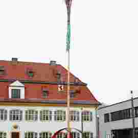 narrensprung 2023 baum