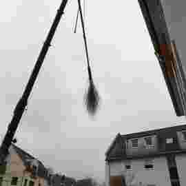 narrensprung 2023 baum