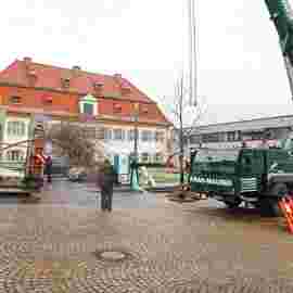 narrensprung 2023 baum