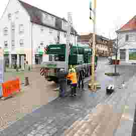 narrensprung 2023 baum