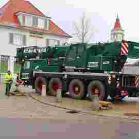narrensprung 2023 baum