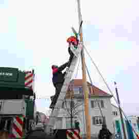 narrensprung 2023 baum