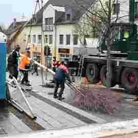 narrensprung 2023 baum