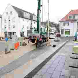 narrensprung 2023 baum