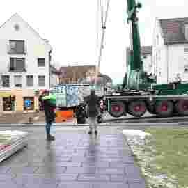 narrensprung 2023 baum