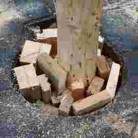 narrensprung 2023 baum