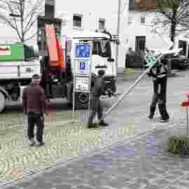 narrensprung 2024 baum