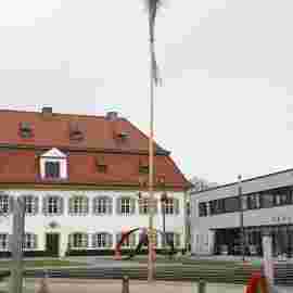 narrensprung 2024 baum