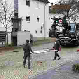 narrensprung 2024 baum