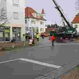 narrensprung 2024 baum