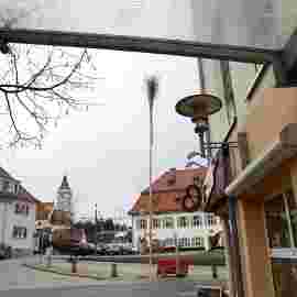 narrensprung 2024 baum