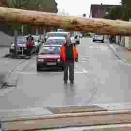 narrensprung 2024 baum