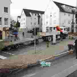 narrensprung 2024 baum