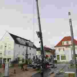 narrensprung 2024 baum