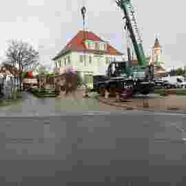 narrensprung 2024 baum
