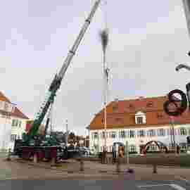 narrensprung 2024 baum