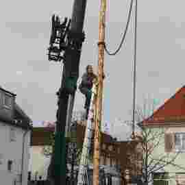 narrensprung 2024 baum
