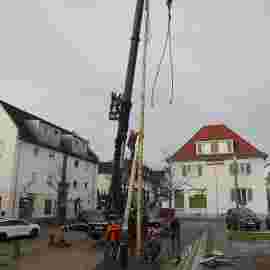 narrensprung 2024 baum