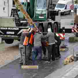 narrensprung 2024 baum