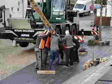 narrensprung 2024 baum bilder