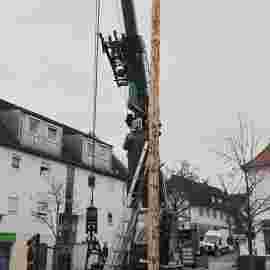 narrensprung 2024 baum
