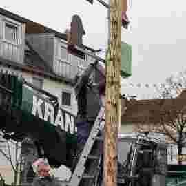 narrensprung 2024 baum
