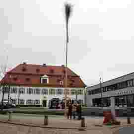 narrensprung 2024 baum