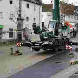 narrensprung 2024 baum