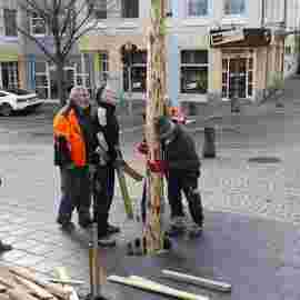 narrensprung 2024 baum