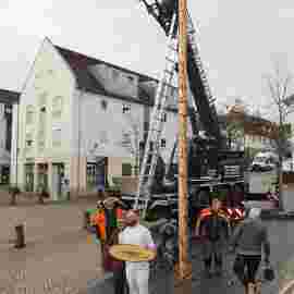 narrensprung 2024 baum